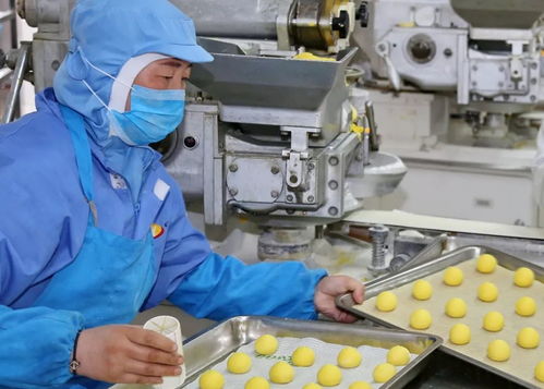 我市多家企業(yè)復(fù)工復(fù)產(chǎn) 多圖