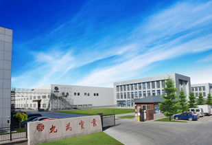 浙江鍍鋅鋼跳板廠家丨3米鍍鋅鋼跳板規(guī)格丨天津九為