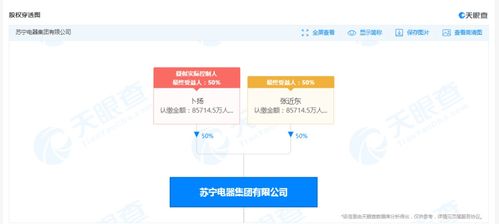 突發 蘇寧電器集團被強制執行超過30億元